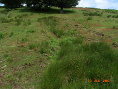 Level North of the British Ironworks dam, June 2008